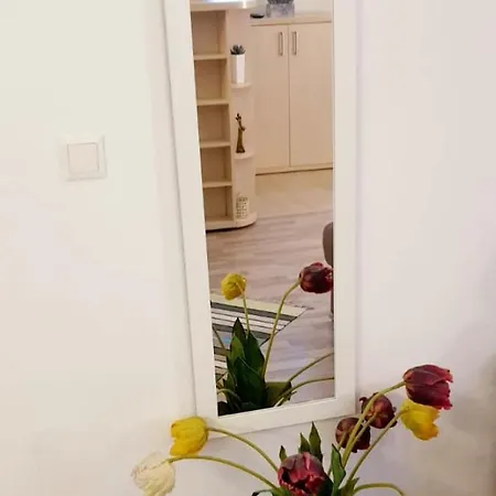 Castelului 2 Apartment Brasov Room photo